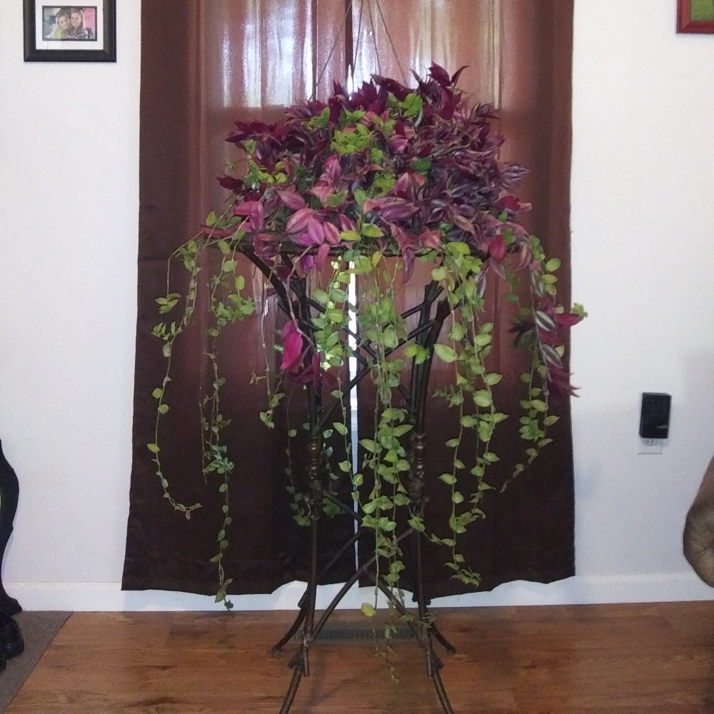 Meet your Posher, Kerrah